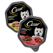 Cesar classic of cuisine
